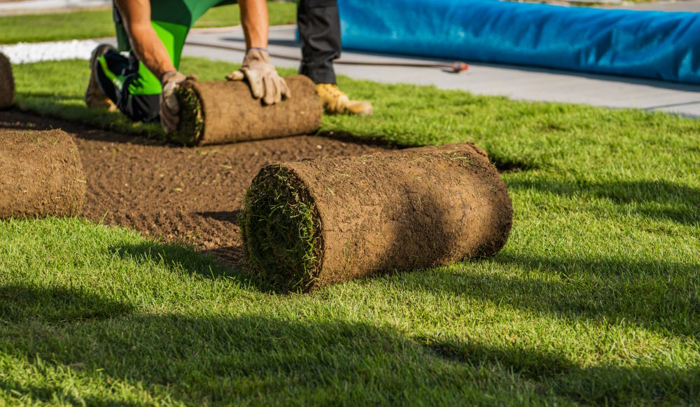 Image of a landscape contracter installing sod on a commercial property in NJ